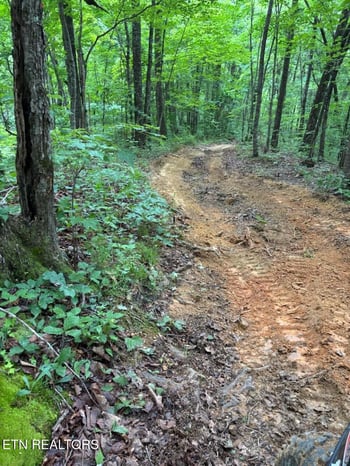0 Howard Baker Hwy, Pioneer, TN 37847