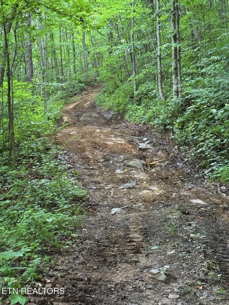 0 Howard Baker Hwy, Pioneer, TN 37847