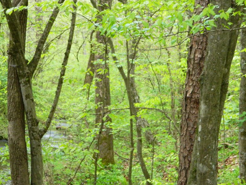 0 Howell Rd, Mascot, TN 37806