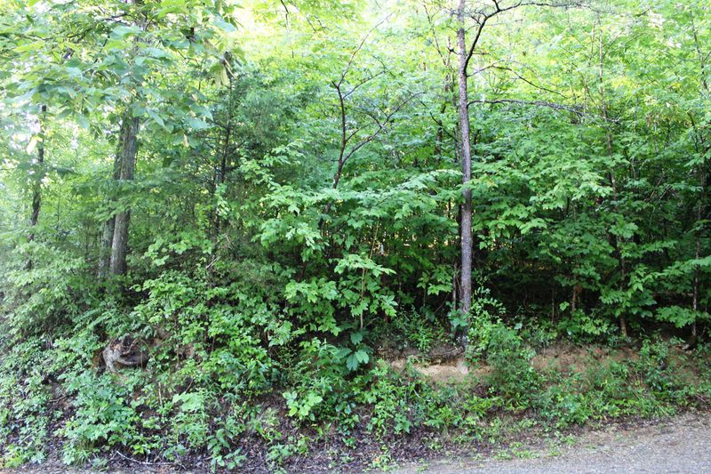 0 Hughes Loop, Maryville, TN 37801