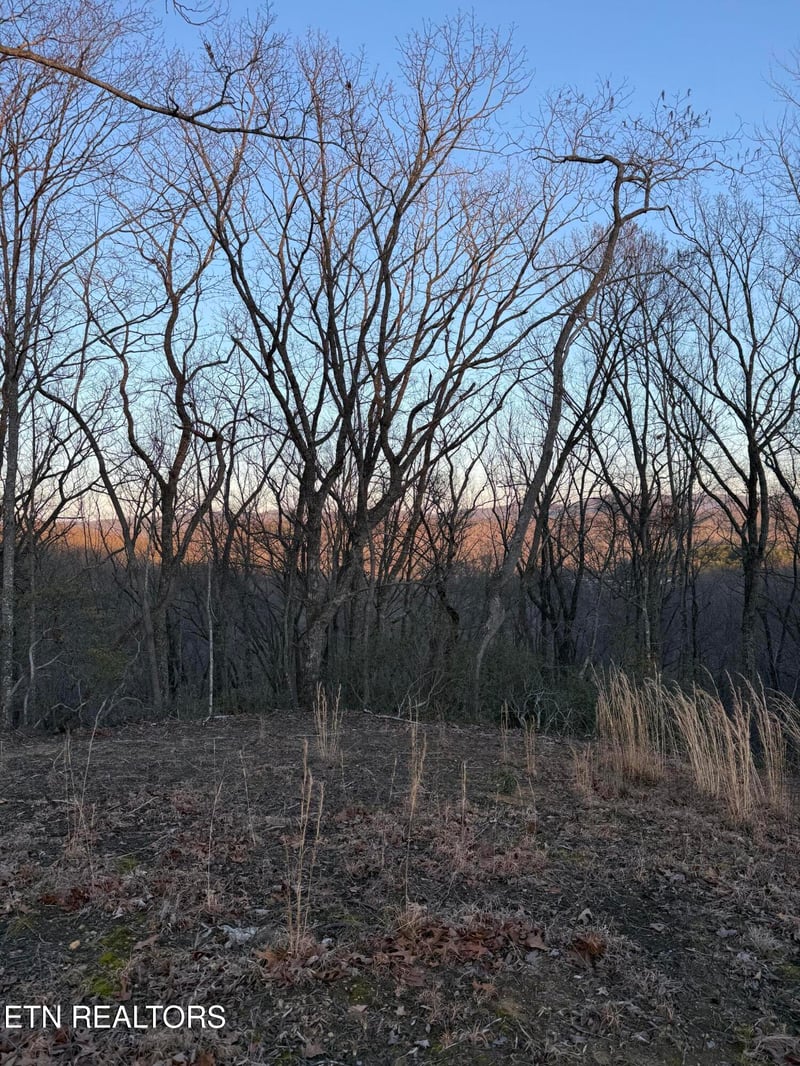 0 Hunter Hills Dr, Oneida, TN 37841