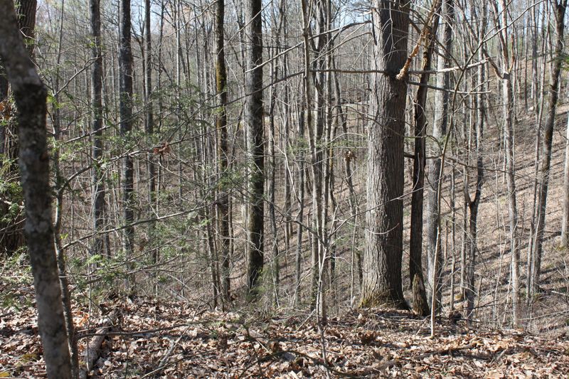 0 Hunter Hills Way, Sevierville, TN 37876