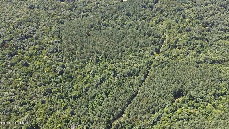 0 Hurricane Ridge Rd, Allardt, TN 38504