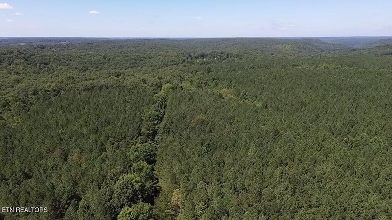 0 Hurricane Ridge Rd, Allardt, TN 38504