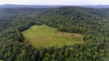 0 Huse Watson Rd, Oakdale, TN 37829