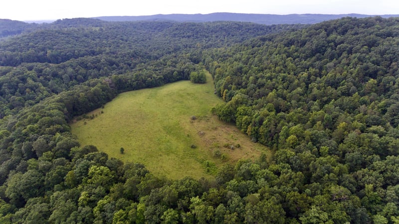 0 Huse Watson Rd, Oakdale, TN 37829