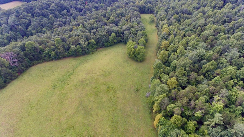0 Huse Watson Rd, Oakdale, TN 37829