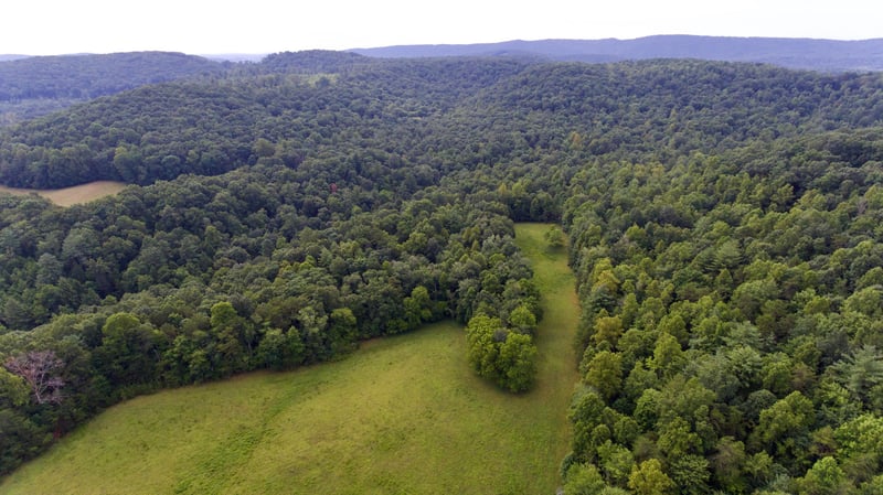 0 Huse Watson Rd, Oakdale, TN 37829