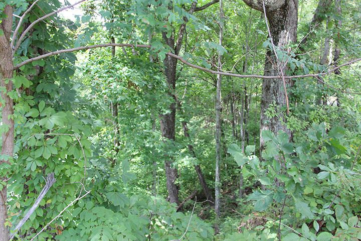 0 Huskey Rd, Sevierville, TN 37862