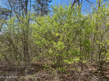 0 Hwy 127 North, Crossville, TN 38555