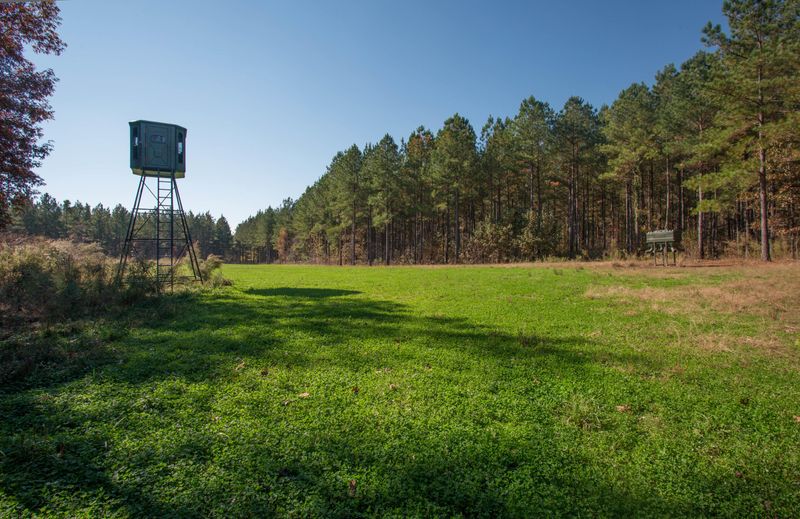 0 Hwy 19 Hwy, Centre, AL 35960