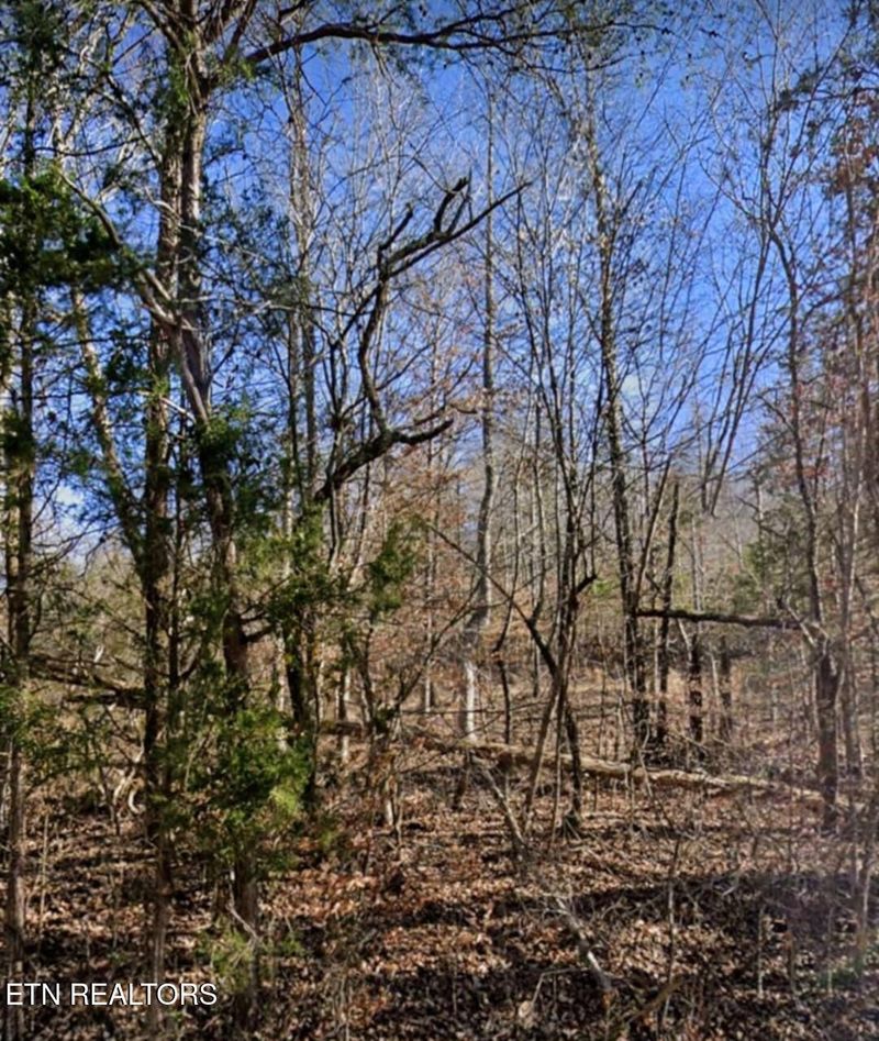 0 Hwy 370 Lots 5&6, Luttrell, TN 37779