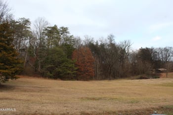 0 Hwy 411 & Sagebrush Way, Maryville, TN 37801