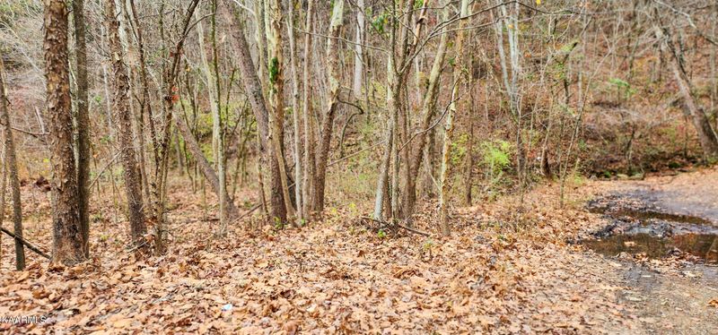 0 Hwy 61 E, Luttrell, TN 37779