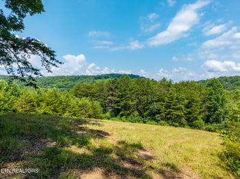 0 Hwy 68, Tellico Plains, TN 37385