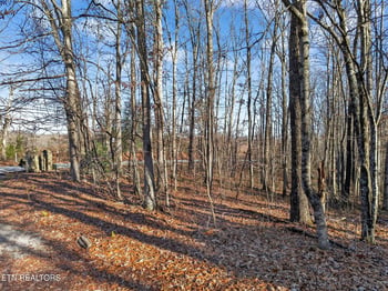 0 Hwy 70 N, Monterey, TN 38574
