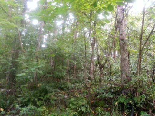 0 Hwy 72, Loudon, TN 37774
