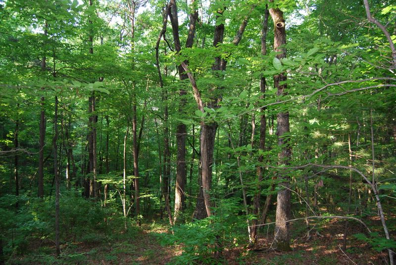 0 Hyder Loop, Crossville, TN 38571
