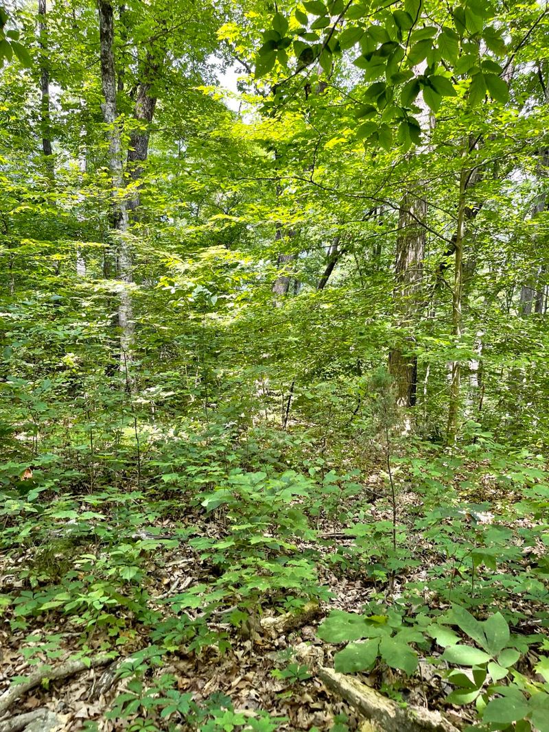 0 Idumea Rd, Corryton, TN 37721