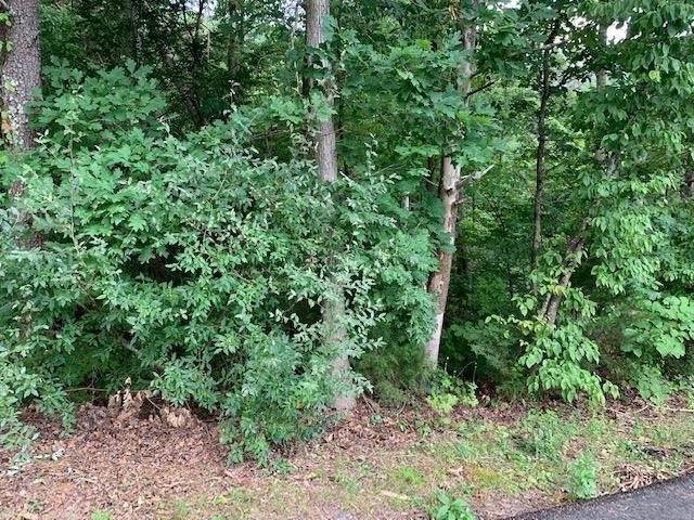 0 Indian Knob Cir, Pigeon Forge, TN 37863