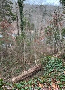 0 Indian River Boat Dock Rd, Jacksboro, TN 37757