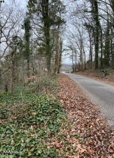 0 Indian River Boat Dock Rd, Jacksboro, TN 37757
