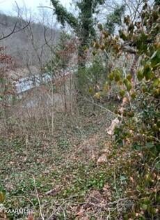 0 Indian River Boat Dock Rd, Jacksboro, TN 37757