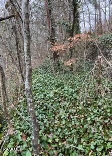 0 Indian River Boat Dock Rd, Jacksboro, TN 37757