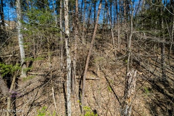 0 Indian Shadows Drive Lot 112, Maryville, TN 37801