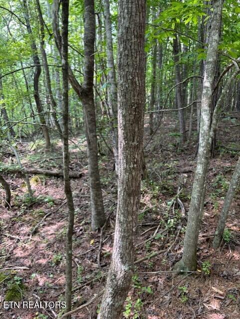 0 Indigo Bunting Dr, Harriman, TN 37748