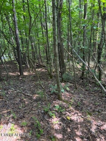 0 Indigo Bunting Dr, Harriman, TN 37748