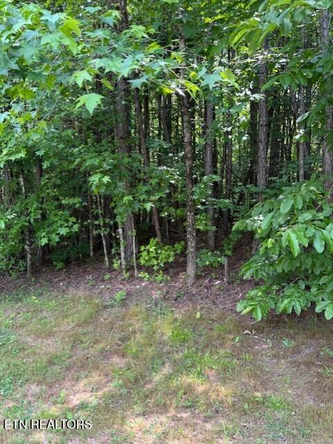 0 Indigo Bunting Dr, Harriman, TN 37748