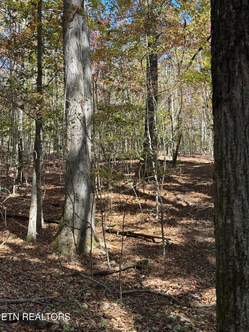 0 Irene Ln, Loudon, TN 37774