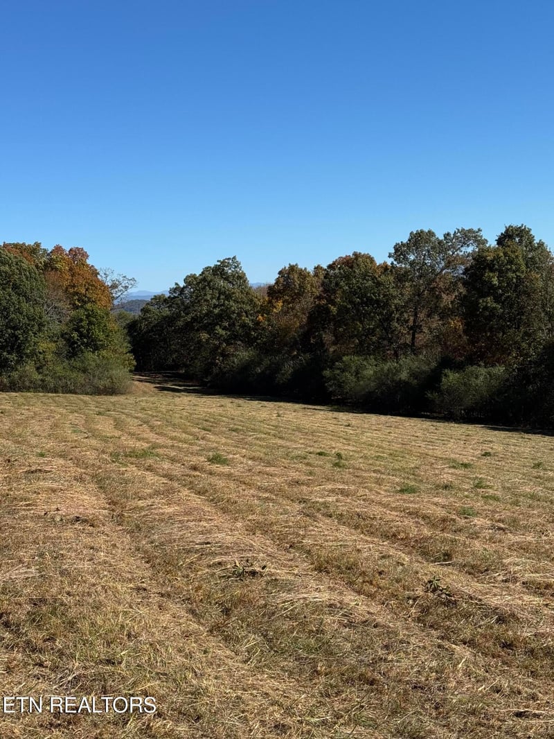 0 Irene Ln, Loudon, TN 37774