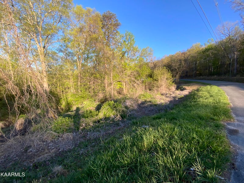 0 Island Ford Rd, Rocky Top, TN 37769