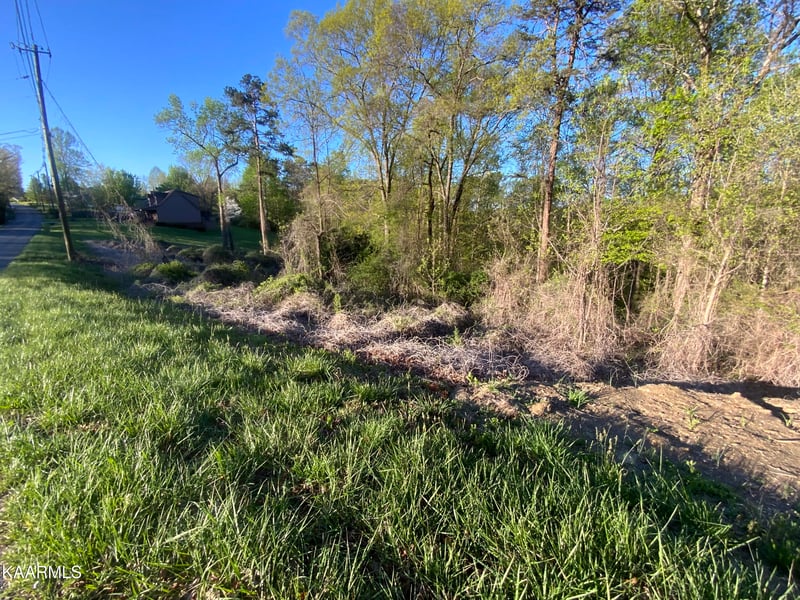 0 Island Ford Rd, Rocky Top, TN 37769