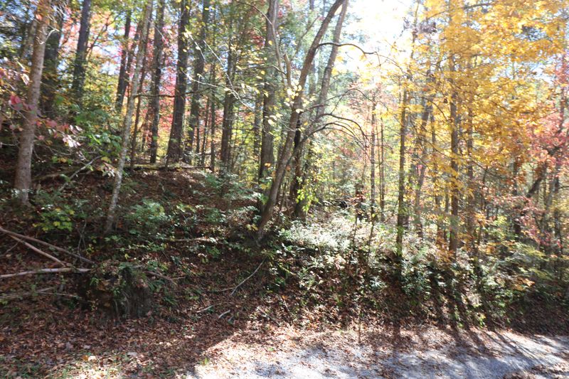 0 J L Way, Gatlinburg, TN 37738