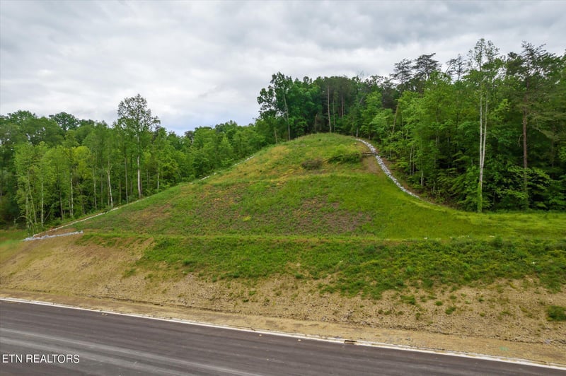 0 Jake Thomas Rd Blvd, Pigeon Forge, TN 37863