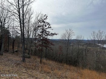 0 James Ferry Rd, Kingston, TN 37763