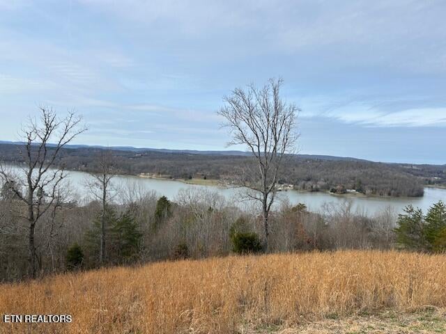 0 James Ferry Rd, Kingston, TN 37763