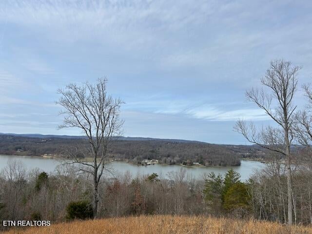 0 James Ferry Rd, Kingston, TN 37763
