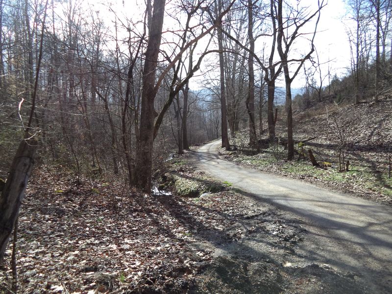 0 Jane Dyer Rd, Luttrell, TN 37779