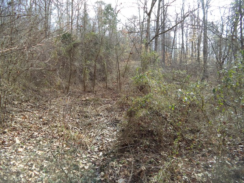 0 Jane Dyer Rd, Luttrell, TN 37779