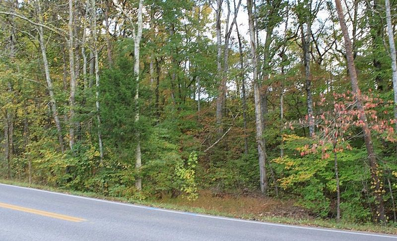 0 Jayell Rd, Sevierville, TN 37876