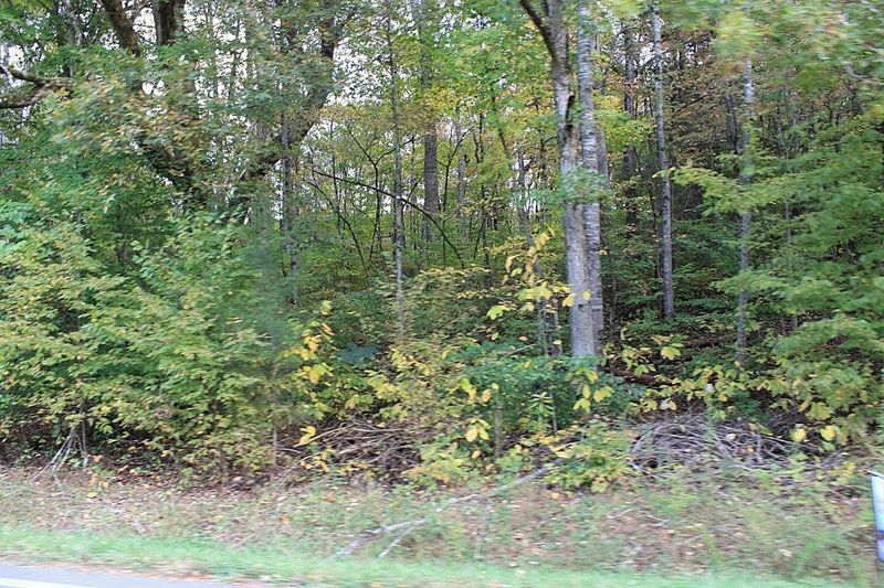 0 Jayell Rd, Sevierville, TN 37876