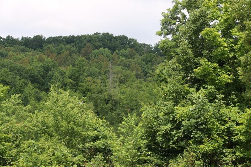 0 Jess Ln, Winfield, TN 37892