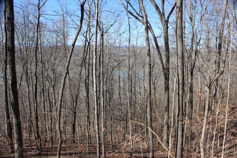 0 Jess Perry Rd, Maynardville, TN 37807