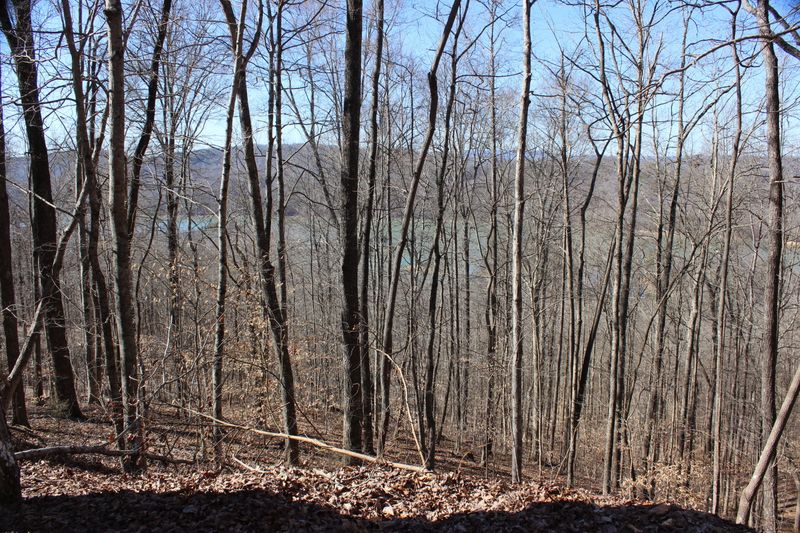 0 Jess Perry Rd, Maynardville, TN 37807