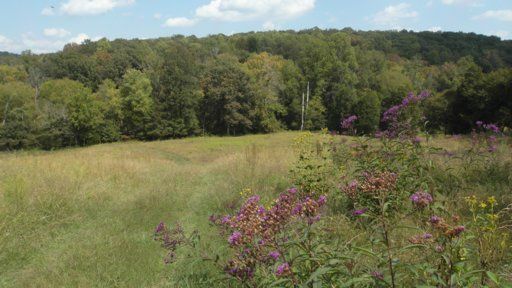 0 Jim Dyke, Loudon, TN 37774