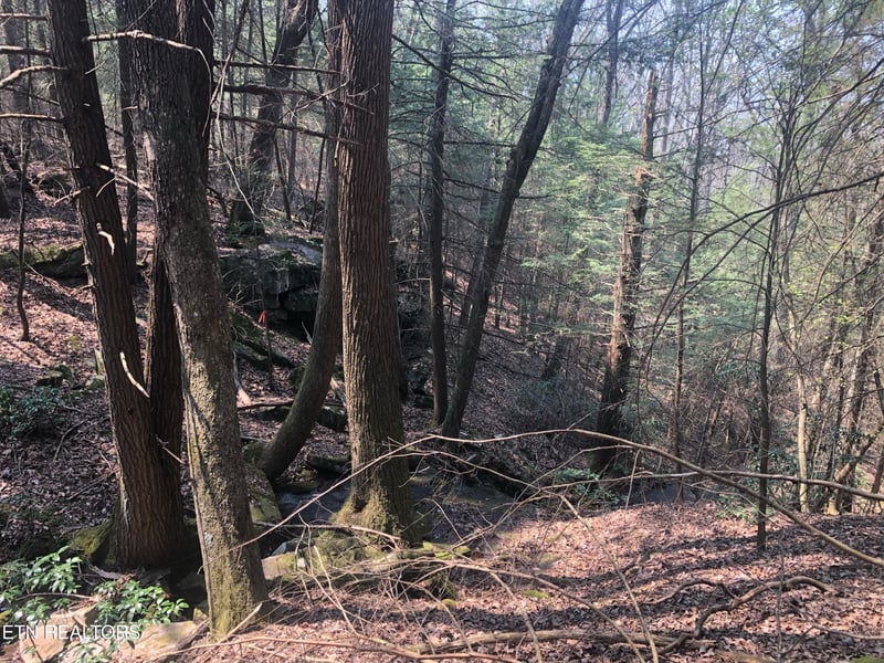 0 Jim Garrett Rd, Monterey, TN 38574